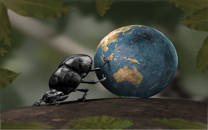 Beetle move the earth, creative pictures, HD wallpaper