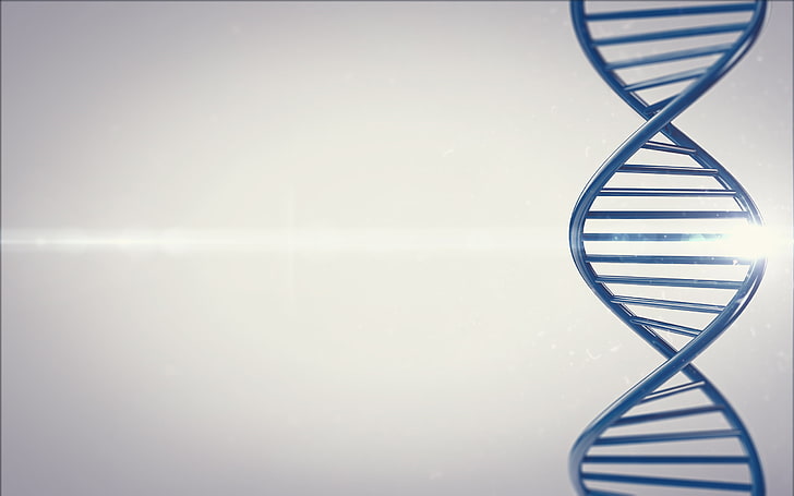 blue DNA illustration, render, chromosome, molecular Structure