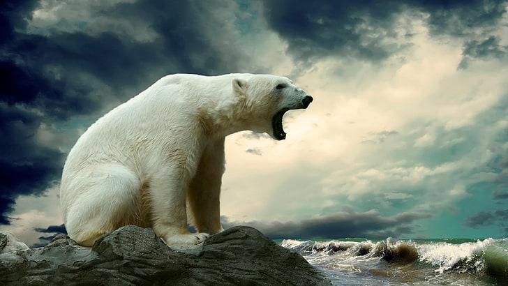 polar bear, roar, waves, dark sky, wild animal, wildlife, one animal, HD wallpaper