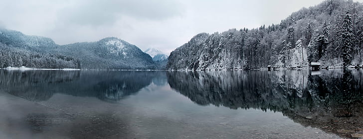 body of water surrounded with mountains, alpsee, alpsee, Der, HD wallpaper