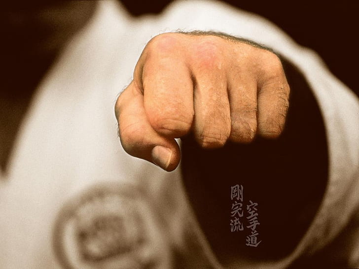 Chinese Fist Punching Fist Abstract Photography HD Art, Karate, HD wallpaper