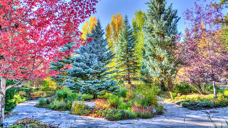 vail, colorado, park, colors, trees, betty ford park, autumn, HD wallpaper