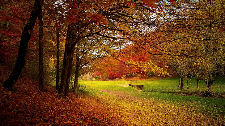 Season Autumn, HD wallpaper