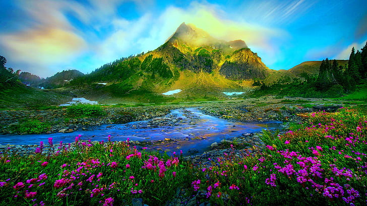 Nature landscape Spring-melting of snow wild purple flowers stream stones green grass mountain clear sky images high resolution 1920×1080