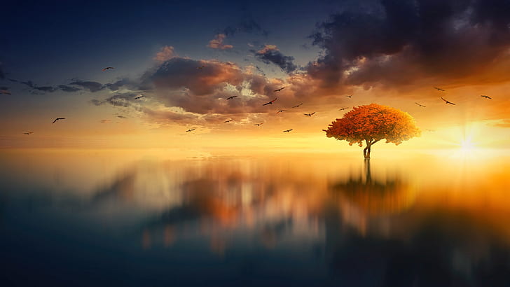 lone tree, sunset, reflection, lake, fantasy landscape, birds, HD wallpaper