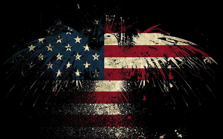 U.S.A. flag eagle vector art, American flag, night, red, city