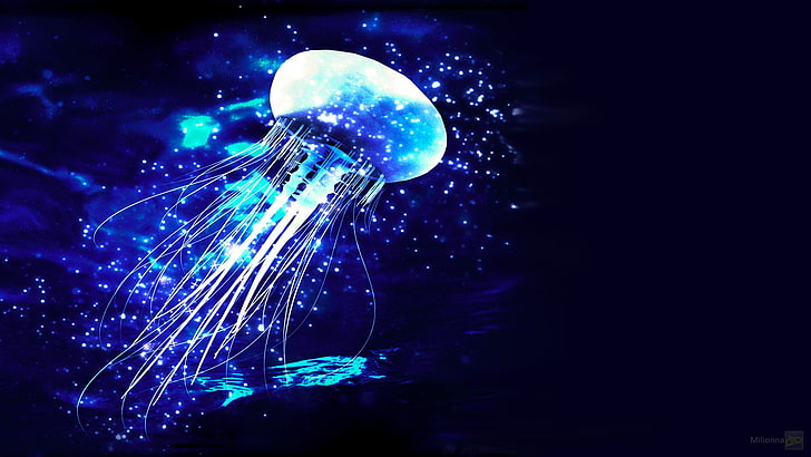 underwater photography of jelly fish, photo manipulation, jellyfish, HD wallpaper