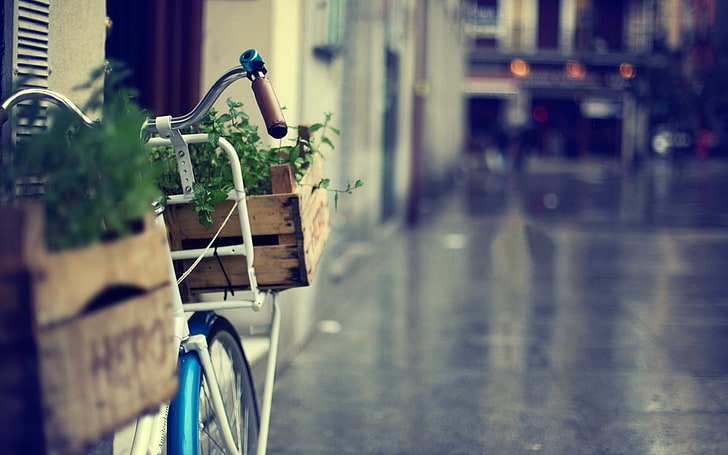 white city bicycle, greens, grass, flowers, bike, great, the city, HD wallpaper