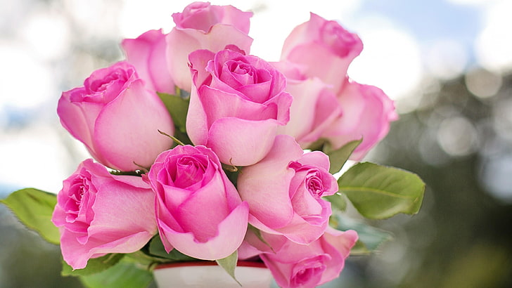 rose, pink roses, pink flowers, rose bouquet, beautiful, HD wallpaper
