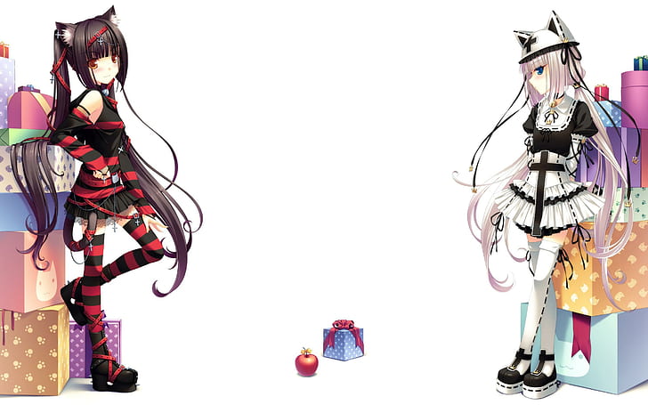 HD wallpaper: Catgirls, 2 anime character, 2880x1800 | Wallpaper Flare