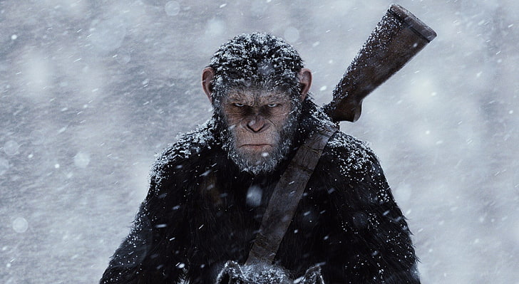 War for the Planet of the Apes 2017, Rise of the Apes wallpaper, HD wallpaper