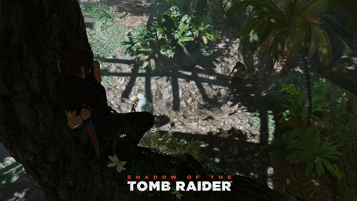 Lara Croft, Shadow of the Tomb Raider, video games, plant, tree, HD wallpaper