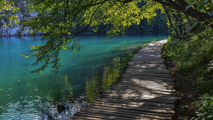 brown wooden dock, landscape, nature, walkway, trees, water, lake