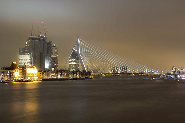 photography of cityscape, rotterdam, rotterdam, Erasmus Bridge, HD wallpaper