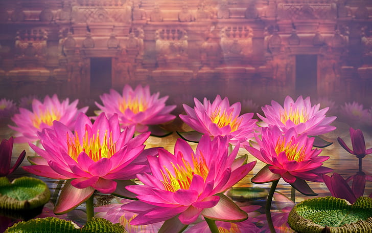 HD wallpaper: 3D flowers, pink water lilies | Wallpaper Flare
