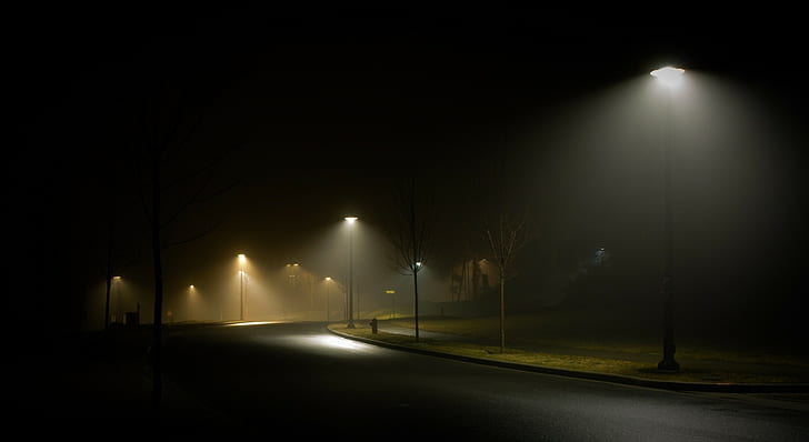 landscape nature street night street light mist grass spring lantern canada empty urban city