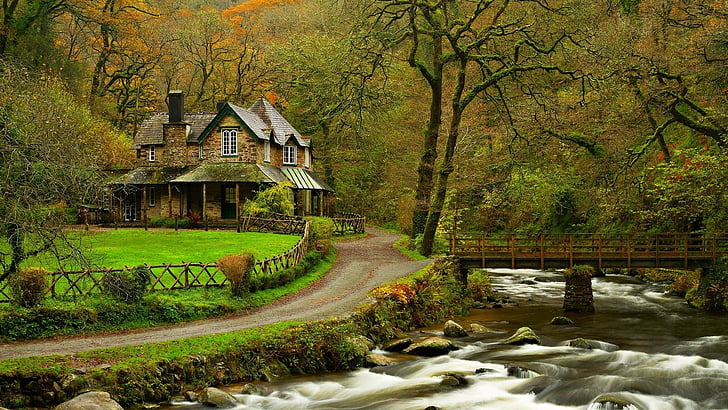 house, cottage, forest, road, stream
