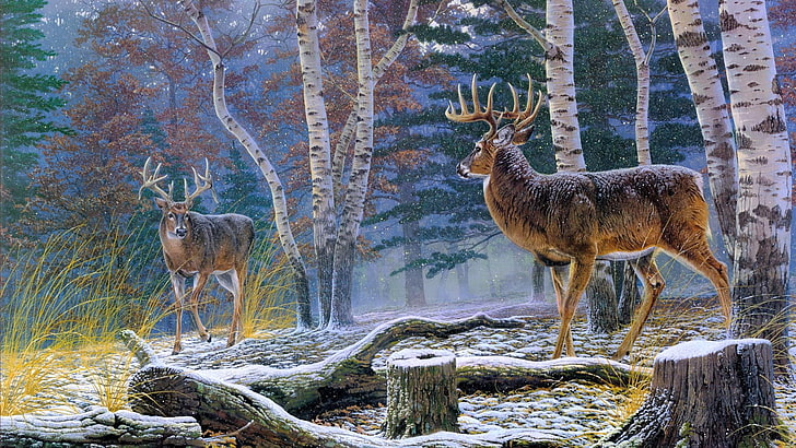 wildlife, nature, painting, deer, forest, wilderness, tree, HD wallpaper