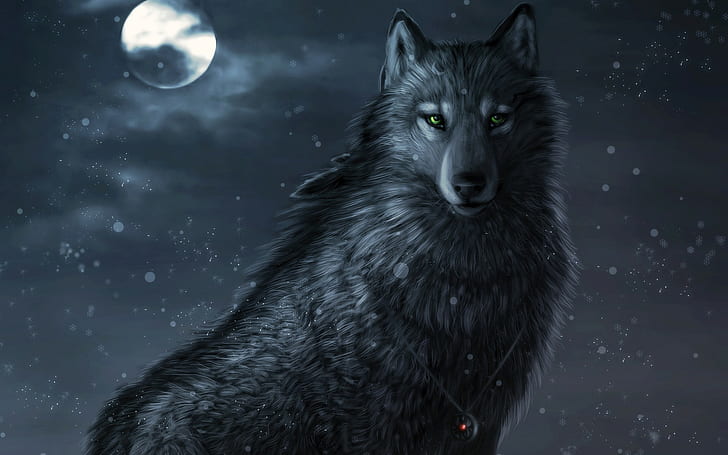 wolf, HD wallpaper