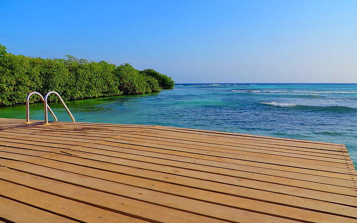 Aruba, sea, water, beauty in nature, sky, tree, scenics - nature, HD wallpaper