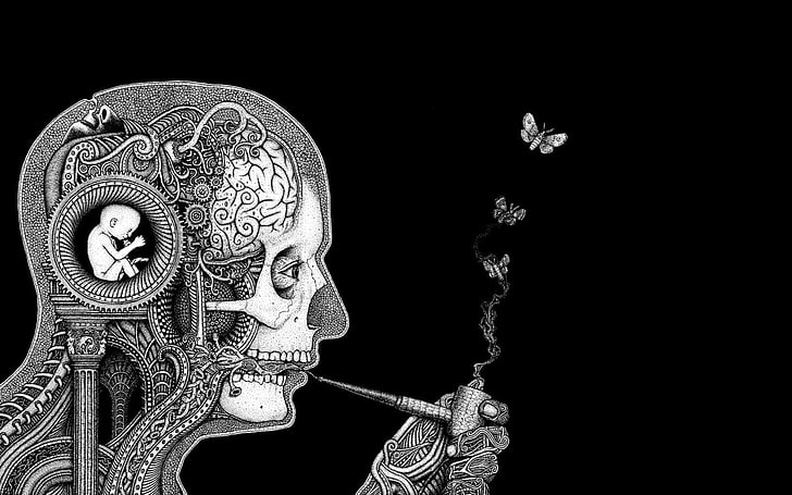 optical illusion painting of skull and baby, butterfly, fantasy art
