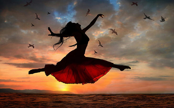 HD wallpaper: Sea Gulls Sunset Dancing Of The Girl Hd Wallpaper | Wallpaper  Flare