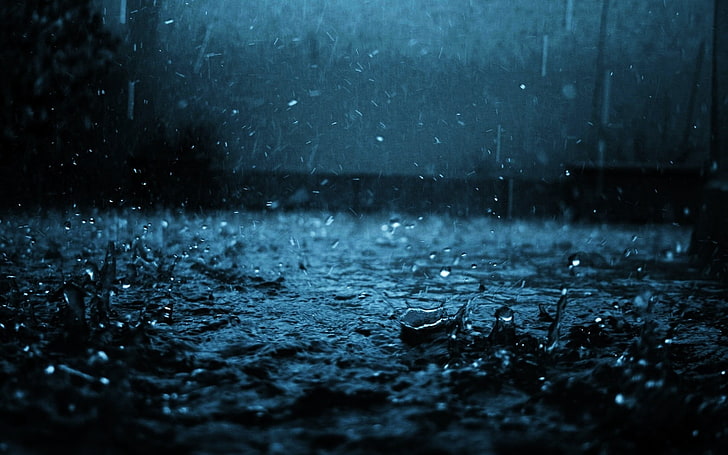 several raindrops, close-up, black, blue, backgrounds, wet, water