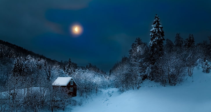 cottage, forest, hills, mist, nature, Moon, winter, landscape