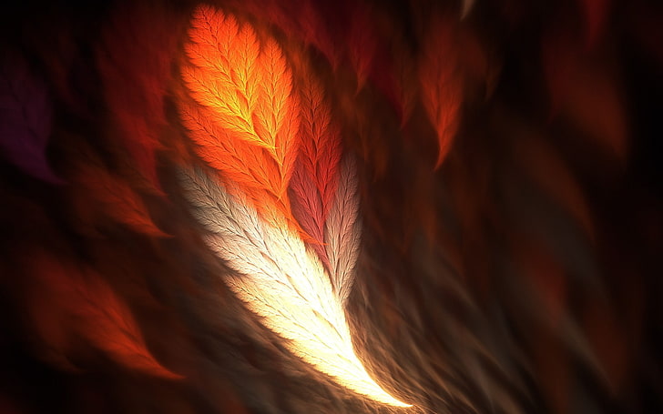 abstract, feathers, fractal, orange color, red, no people, close-up, HD wallpaper