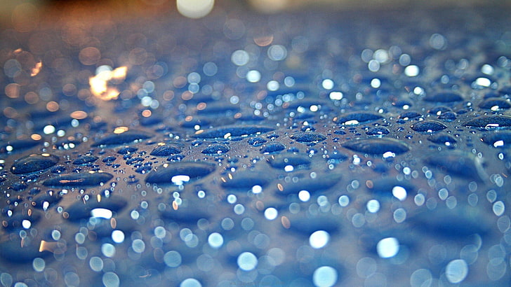 water dew, selective photography of water drop, water drops, macro, HD wallpaper