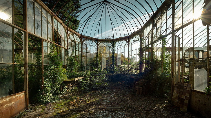 brown and green plant garden, abandoned, greenhouse, architecture, HD wallpaper