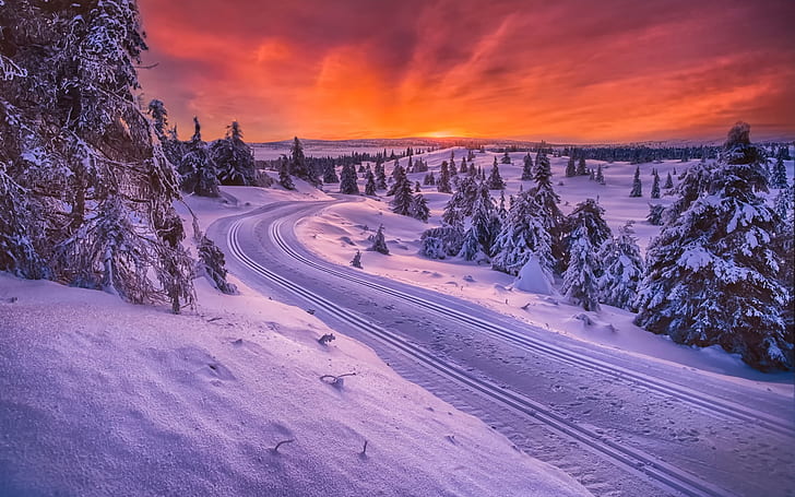 Norway, winter, snow, road, trees, sunset