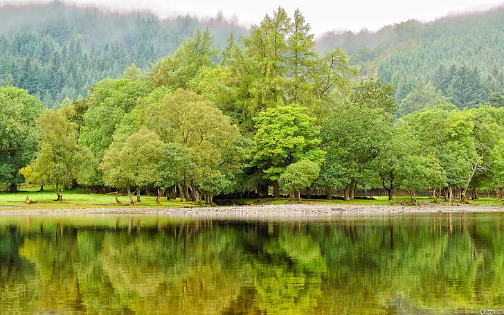 Loch Lubnaig-Windows 10 Wallpaper, tree, plant, water, lake, beauty in nature HD wallpaper