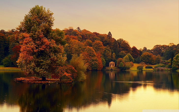 red and green trees, England, nature, landscape, water, river