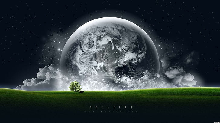 HD wallpaper: World Horizon, black earth, night and day, space, stars, tree  | Wallpaper Flare