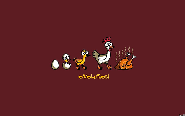 evolution of chicken illustration, humor, minimalism, chickens, HD wallpaper
