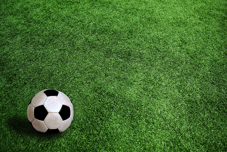 white and black soccer ball, field, grass, sport, outdoors, green Color, HD wallpaper