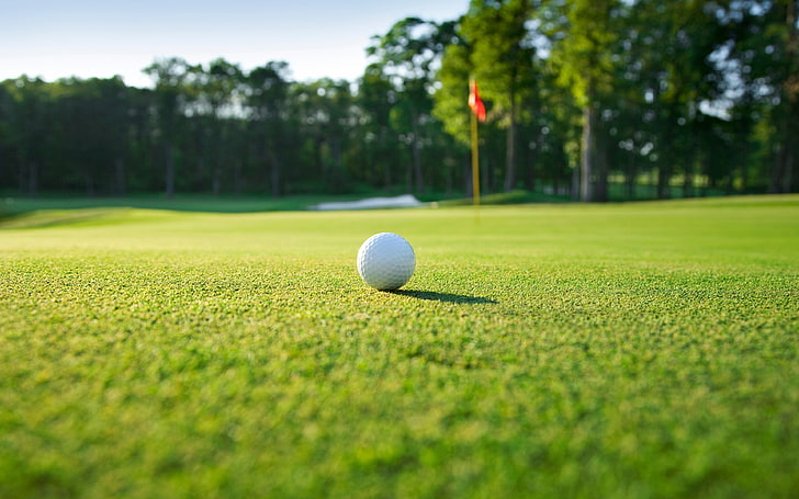 Green grass golf course red flag closeup, ball, golf ball, plant