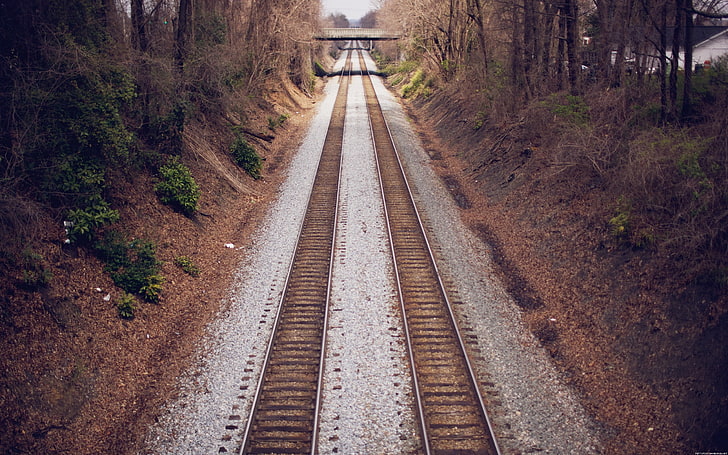 brown train railroad, railway, bridge, direction, transportation, HD wallpaper