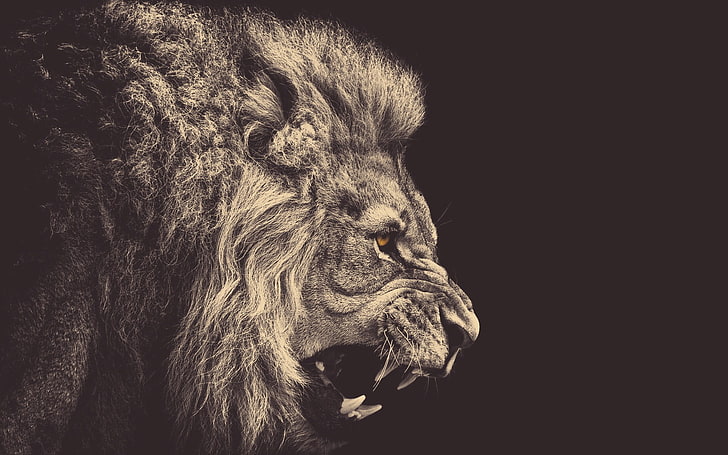 lion illustration, minimalism, animals, sepia, yellow eyes, anger