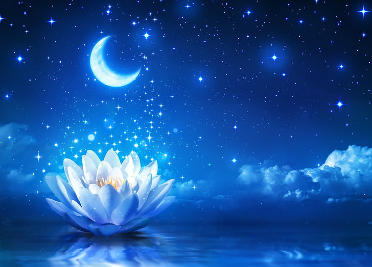 HD wallpaper: white lotus flower, Moon, sky, night, lotus flowers, stars,  nature | Wallpaper Flare