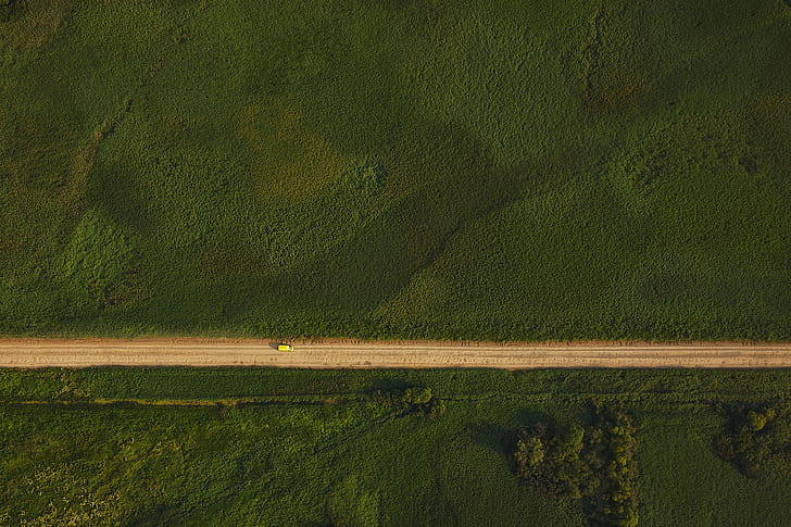 landscape, field, dirt road, top view, aerial view, trees, car