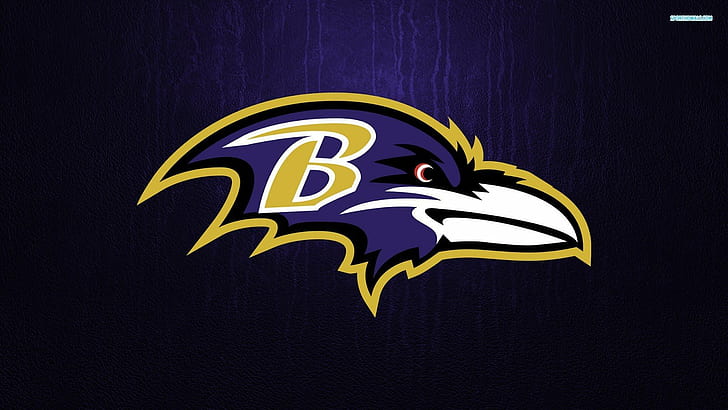 baltimore ravens logo nfl, HD wallpaper