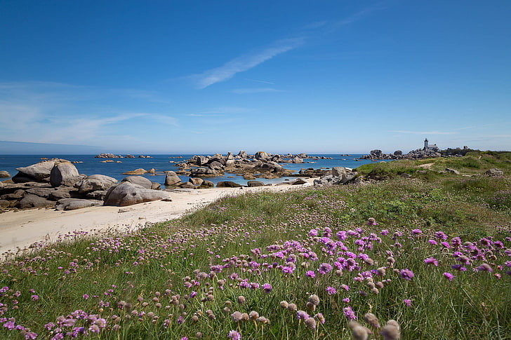 coast, France, Brittany, Brignogan-Plage, plant, beauty in nature, HD wallpaper