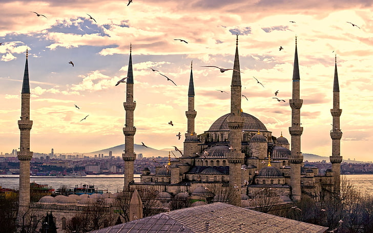 Blue Mosque, Instanbul, istanbul, city, sultanahmet mosque, turkey, HD wallpaper