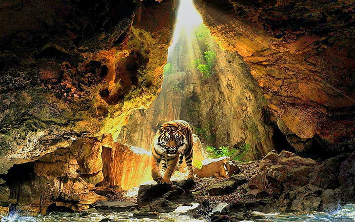 Bengal Tiger 3d, bengaltiger, animals, HD wallpaper