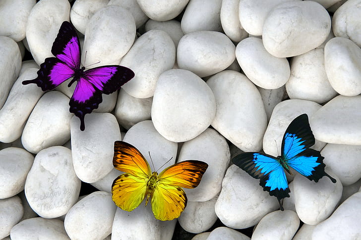 White stones, Butterflies, Colorful