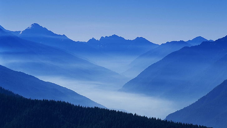Nature Mountain Forest Landscape Fog Ultrahd 4k Free Desktop, HD wallpaper