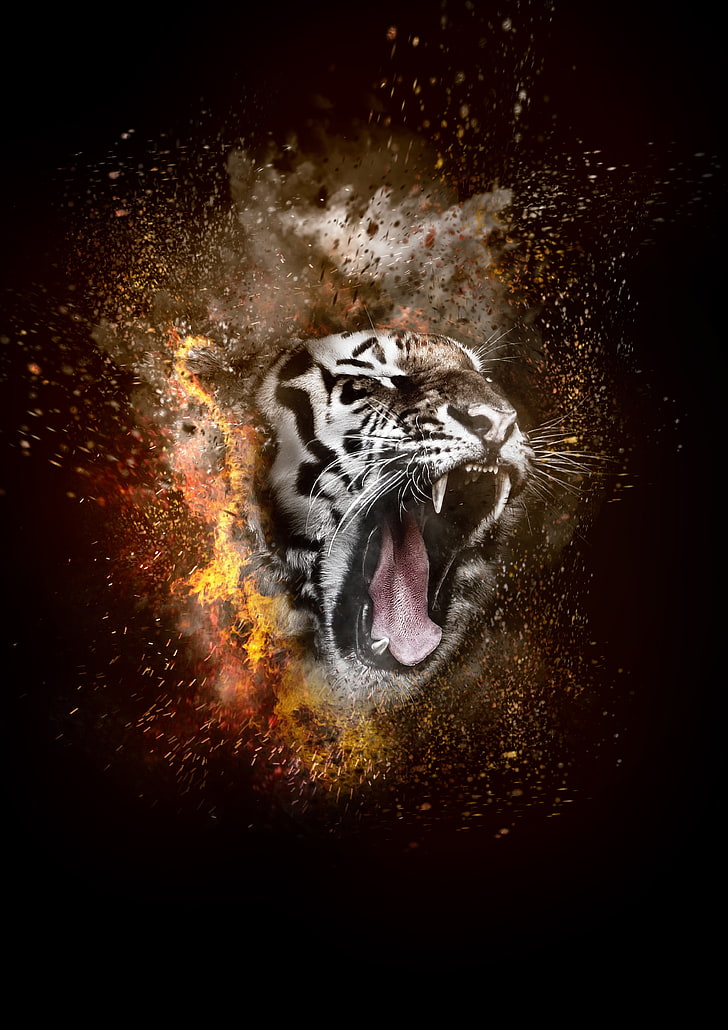 brown tiger, grin, photoshop, fire, animal, wildlife, carnivore, HD wallpaper