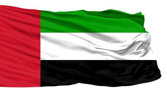 UAE Flag vertical, eagle, arab, HD phone wallpaper | Peakpx